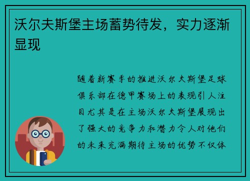 沃尔夫斯堡主场蓄势待发，实力逐渐显现